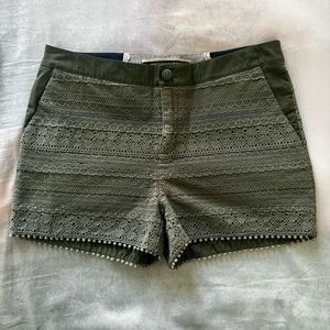 ANTHROPOLOGIE Womens Shorts Olive Green Shorts Size 8